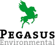 Pegasus Environmental Logo